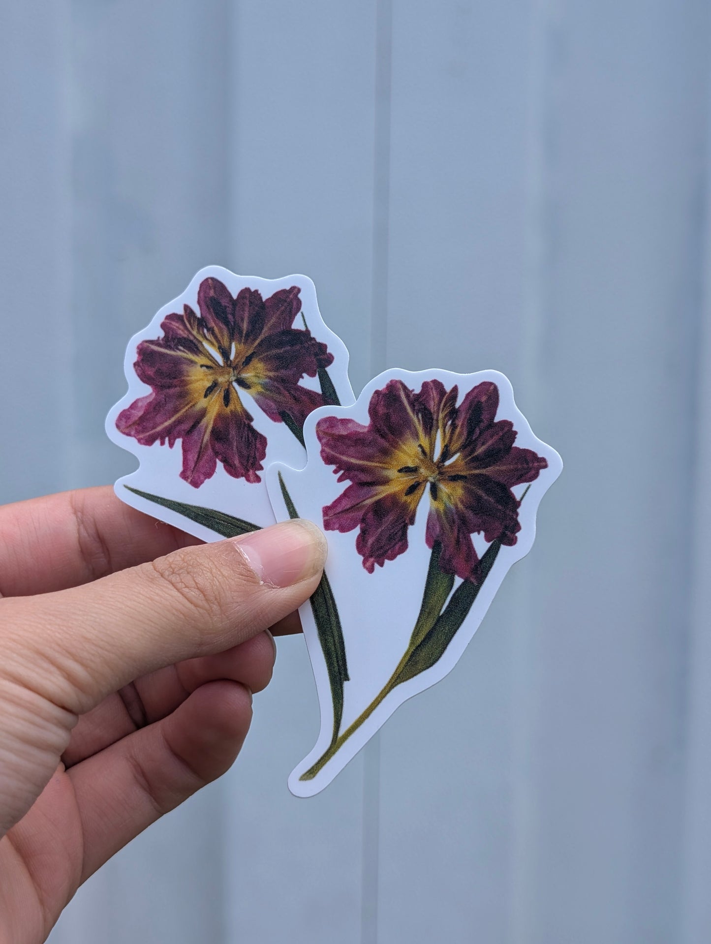 Botanical Specimen Stickers