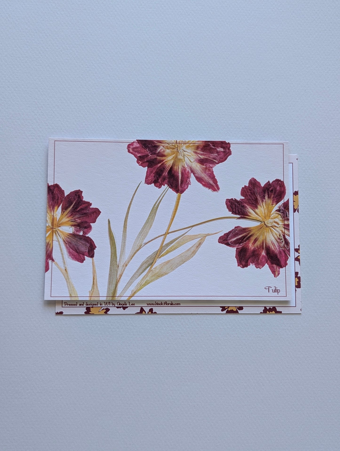 Herbarium Postcards