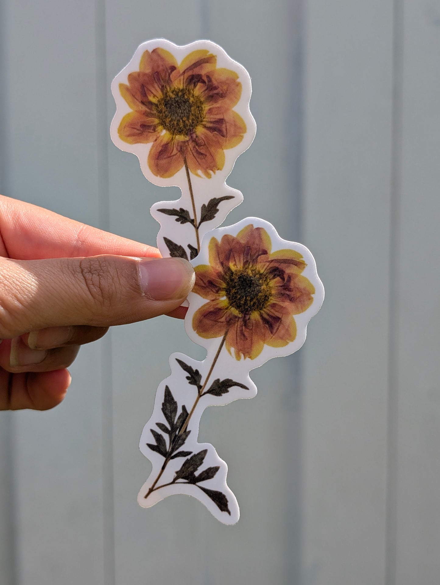 Botanical Specimen Stickers