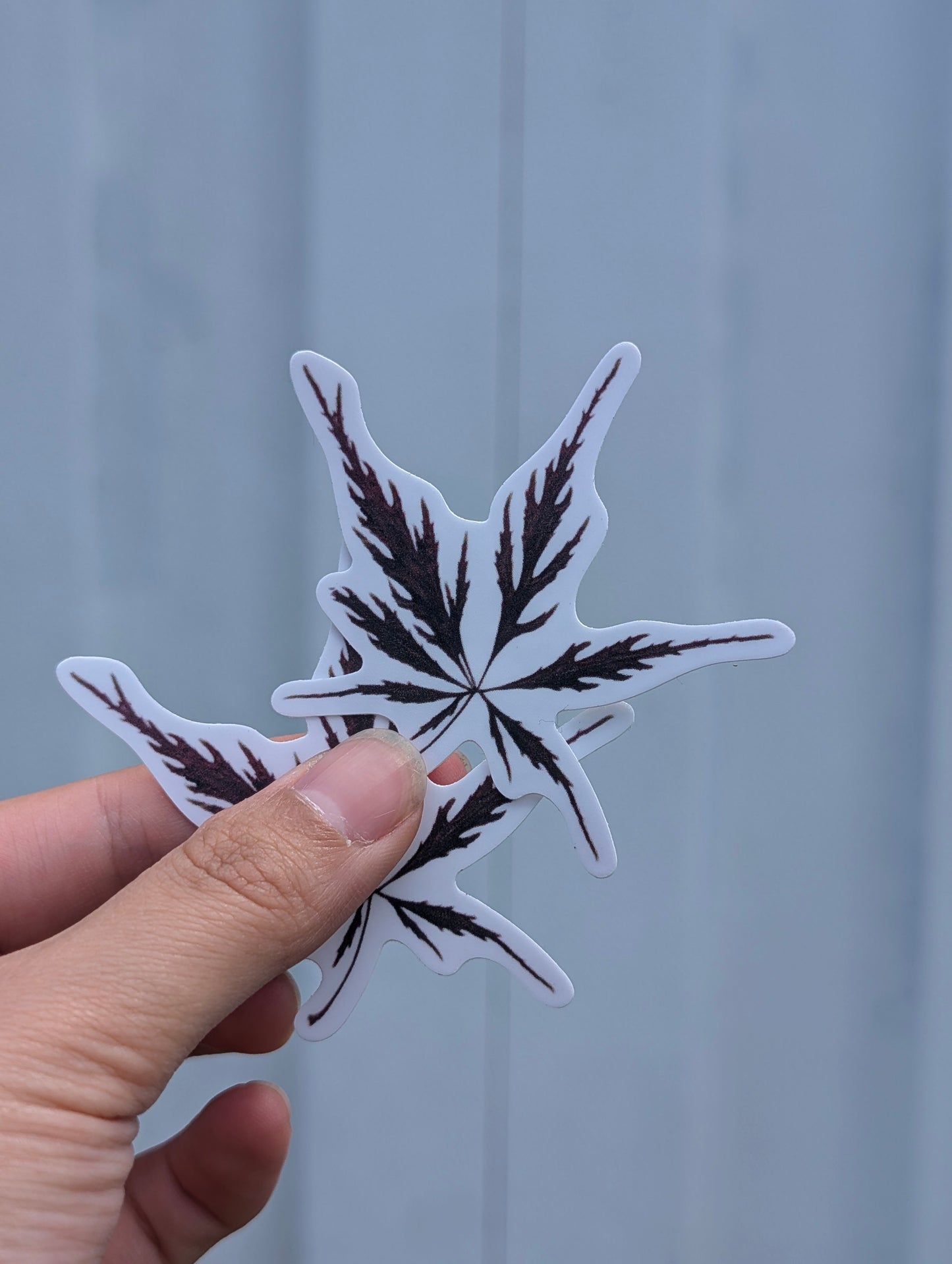 Botanical Specimen Stickers