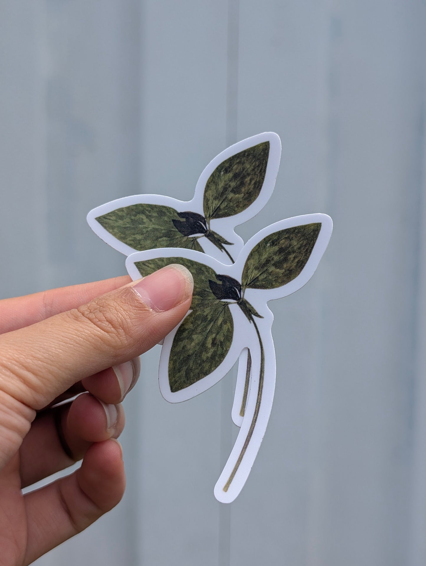 Botanical Specimen Stickers