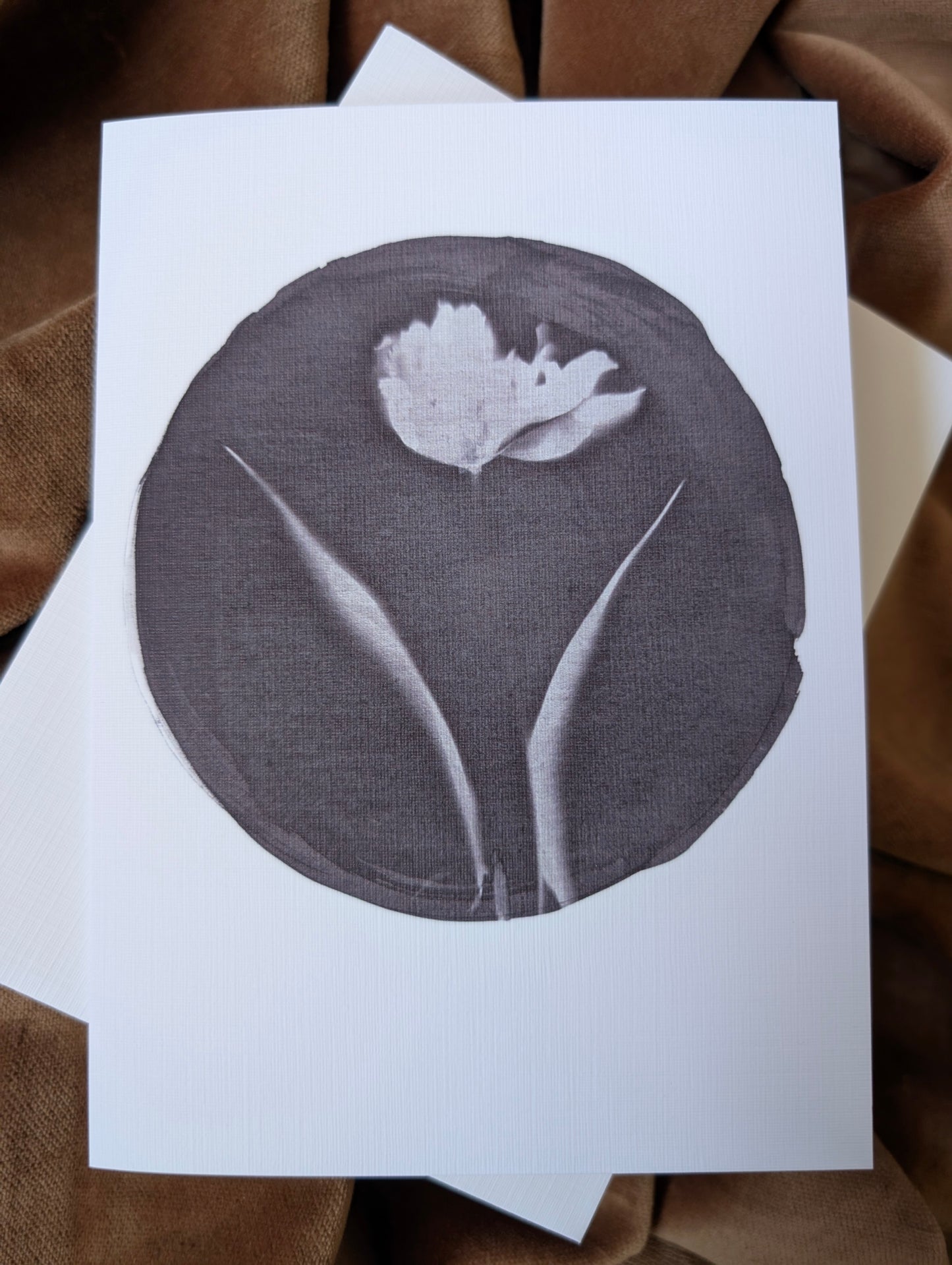 Tea Toned Tulip Cyanotype Printed Card